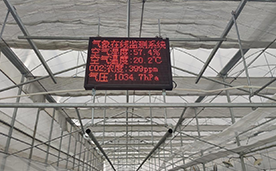 智慧大棚數據顯示屏